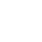 Customer support and technology consulting services by Intellecomm