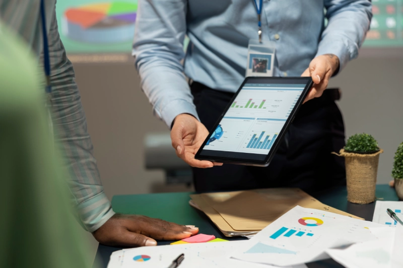Portfolio and Program Governance